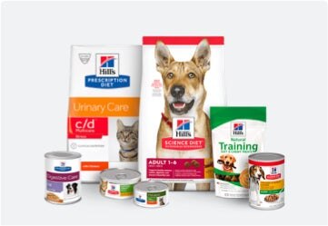 Selectie van Hill's producten inclusief droogvoer, natvoer en treats.